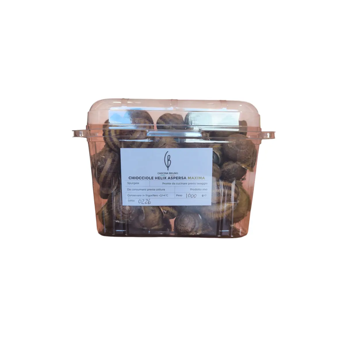 Lumache Vive SPURGATE 1Kg